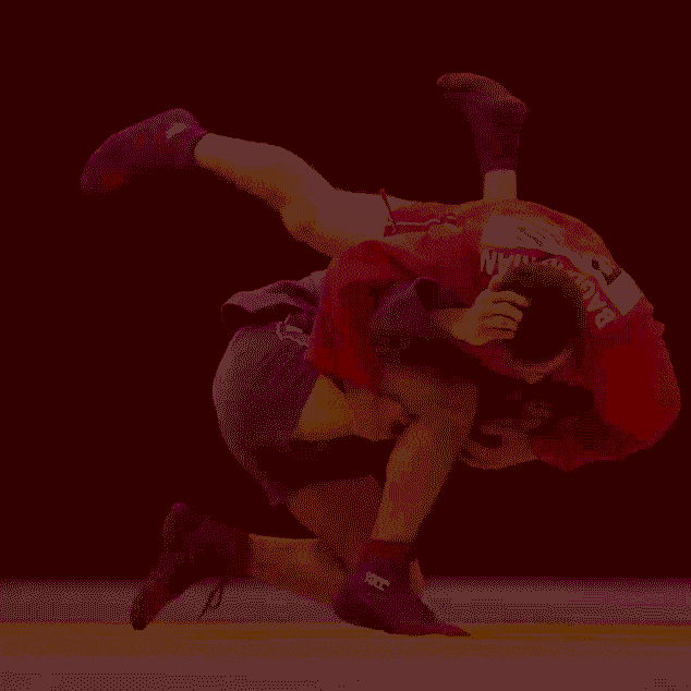 COPA INTERAUTONOMICA SAMBO