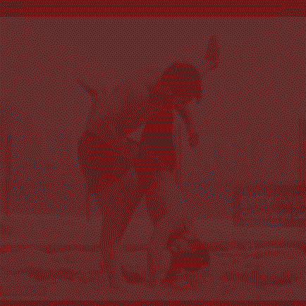 PROMOCIÓN LUCHA SUMO